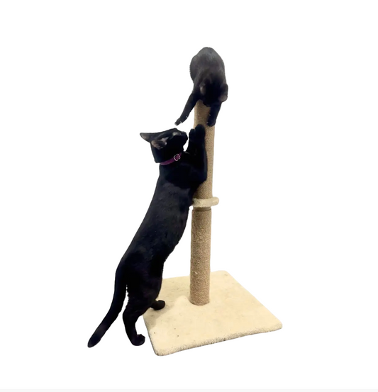 CosyPaws 74cm Cat Scratcher