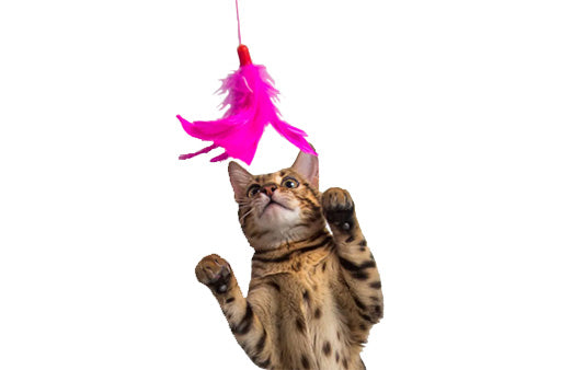 Interactive Feather Wand.