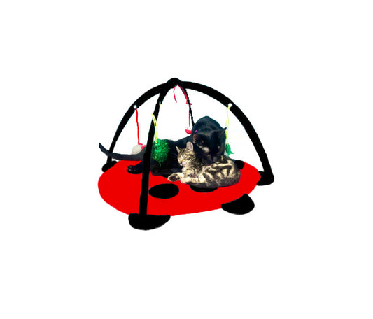 Cat Activity Mat